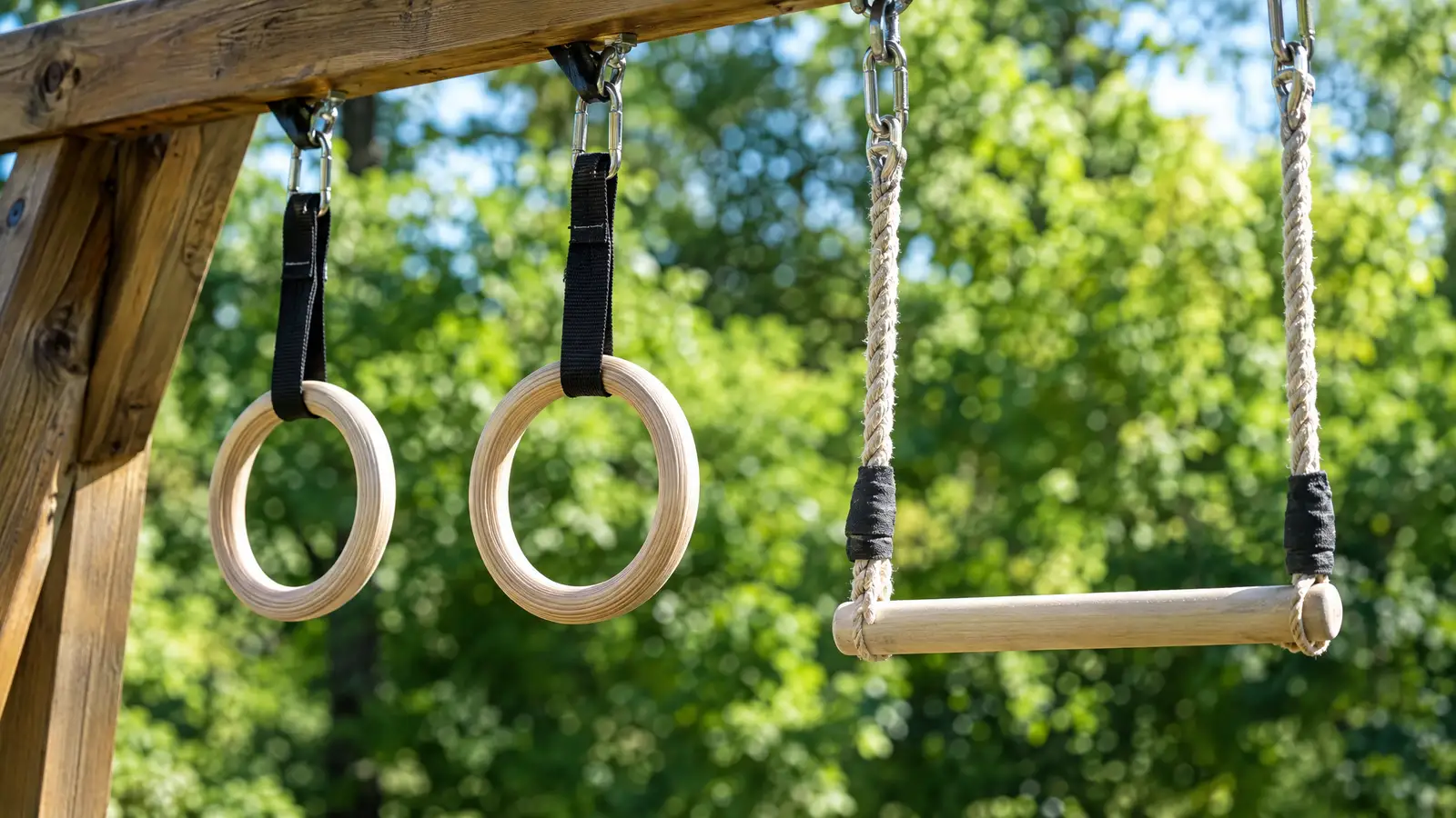 Trapeze Bars and Gym Rings